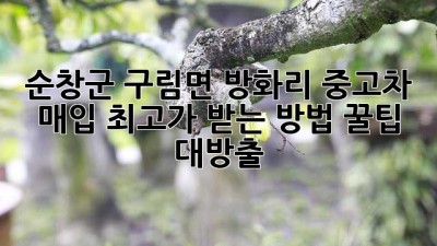 🚗 순창군 구림면 방화리 중고차 매입, 최고가 받는 방법! 꿀팁 대방출 🍯