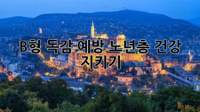 B형 독감 예방, 노년층 건강 지키기