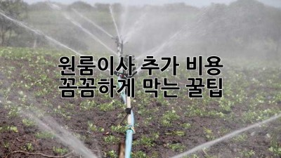 📦 원룸이사 추가 비용 🚫💸? 꼼꼼하게 막는 꿀팁!