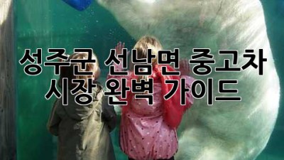 성주군 선남면 중고차 시장 완벽 가이드